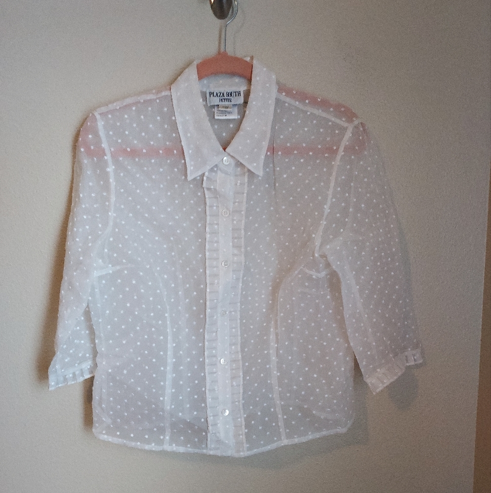 Vintage See-through Blouse With Embroidered Dots.